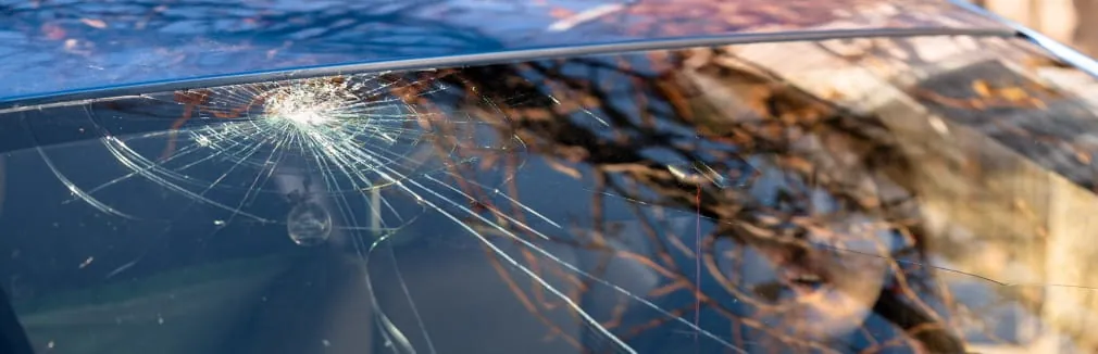 Rapariga jovem, com expressão de surpresa, dentro de um carro com o vidro para-brisas partido.