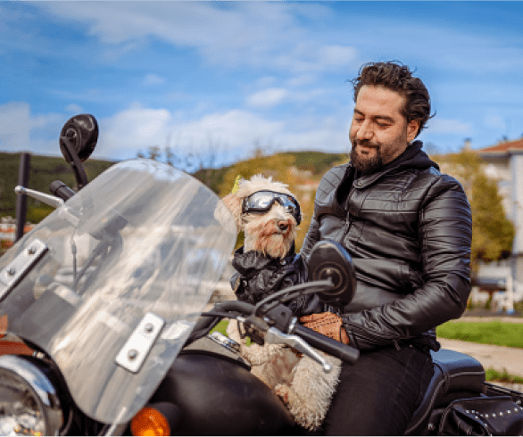 Simular seguro moto