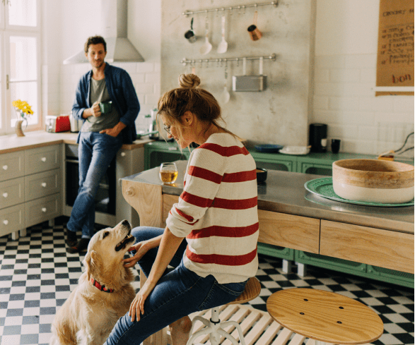 Vida Crédito Habitação